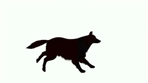 Dog Running Silhouette at GetDrawings | Free download