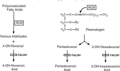 Figure 2 from Fatty aldehyde and fatty alcohol metabolism: review and ...