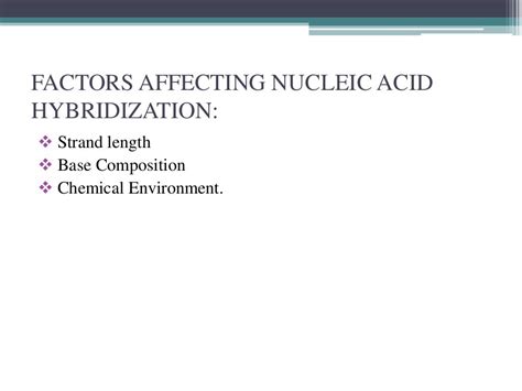 Nucleic acid hybridization