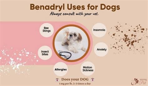 Dog Benadryl Dosage Chart: Usage and Side Effects