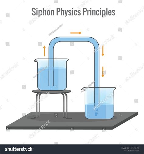 Inverted Siphon Photos and Images & Pictures | Shutterstock