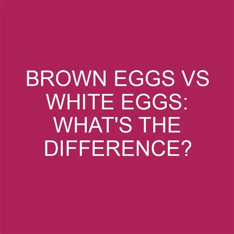 Brown Eggs Vs White Eggs: What's The Difference? » Differencess