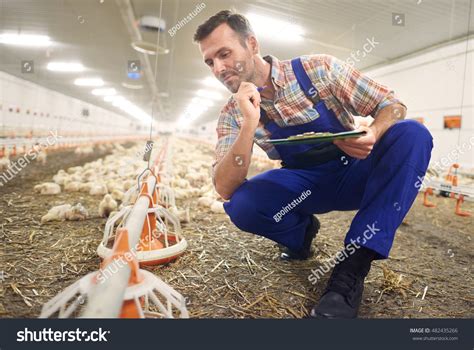 27,593 Farmer Poultry Images, Stock Photos & Vectors | Shutterstock