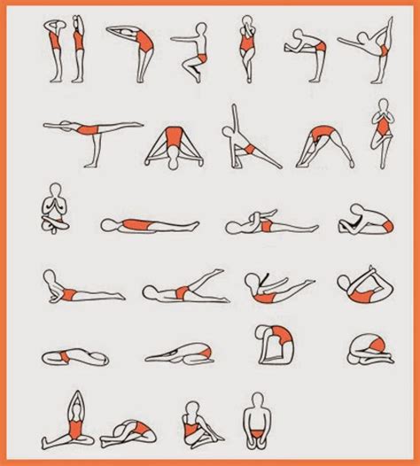 Twenty Six Posture Exercises Bikram Yoga Poses ~ Yoga Poses For Beginners