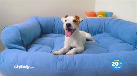 Chewy.com TV Commercial, 'Toby' - iSpot.tv