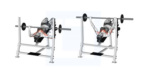 Barbell Decline Bench Press - Guide, Benefits, and Form