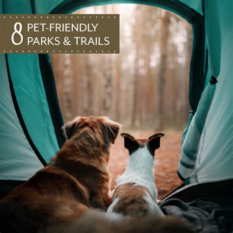 8 Pet-Friendly Parks And Trails