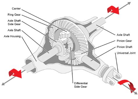 Differential Gear Diagram