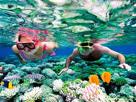 Snorkeling Trip to Paradise Island in Hurghada City - Vantage Travel International