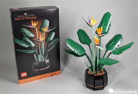 LEGO-Botanical Collection-10289-Bird of Paradise-Review-Q9861-35 - The Brothers Brick | The ...