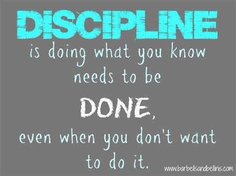 Discipline Quotes For Students. QuotesGram