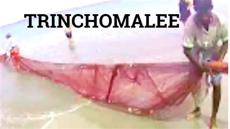 🔵 Drag Net Fishing - Trinchomalee - Dragnet Fishing in the Bay of Bengal Trinchomalee Sri Lanka ...