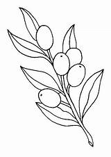 Olive Coloring Page At GetColoringscom  Free Printable Colorings sketch template
