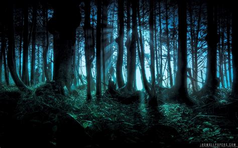 Eerie Forest wallpaper | flowers | Wallpaper Better