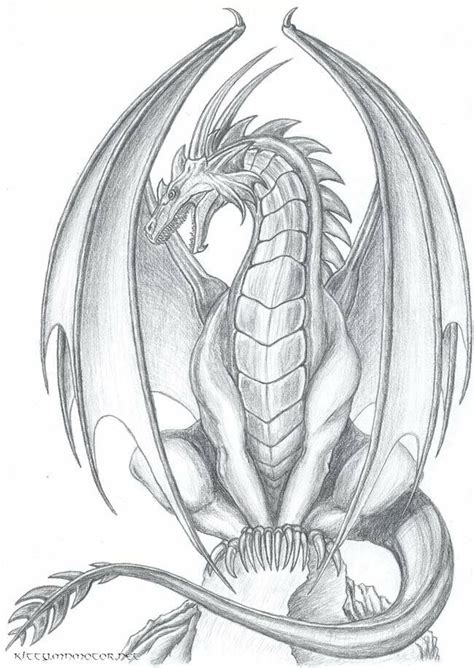 Medieval Dragon Coloring Coloring Pages