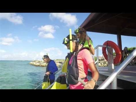 Snorkeling at De Palm Island Aruba with the famous Blue Parrot Fish. | Palm island, Snorkeling ...