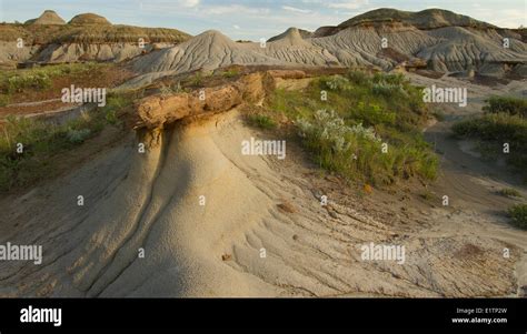 Dinosaur Provincial Park, badlands, Alberta, Canada Stock Photo - Alamy