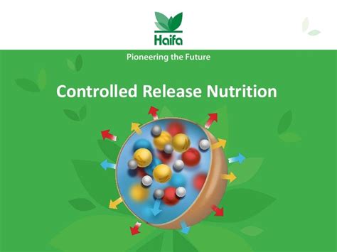 Controlled release fertilizers | Haifa Group