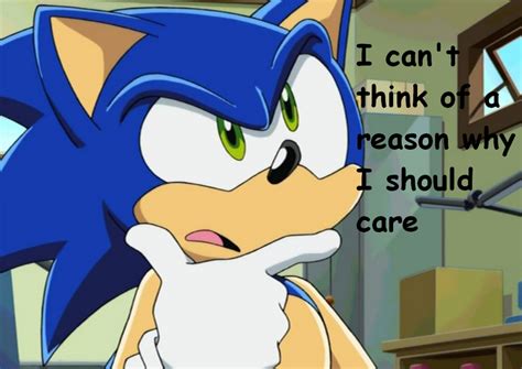 Sonic X Meme No.16 by ILoveMyCat456 on DeviantArt