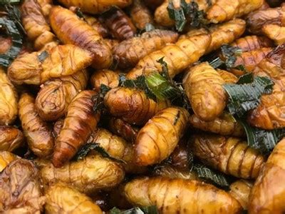 Fried Insects in Thailand: Bugs & Worms as Thai Street Food