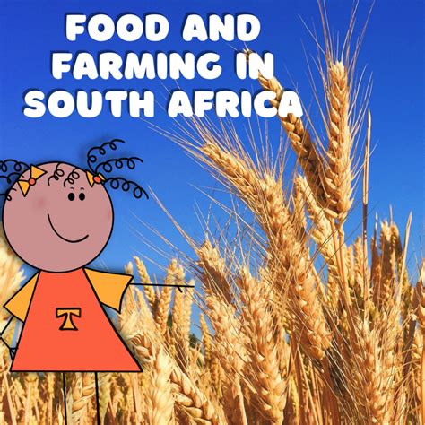 Grade 4: Geography: Term 3: Food and Farming in South Africa - Coach in ...