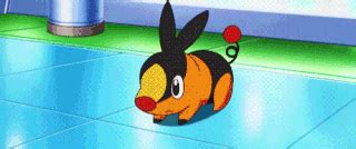 Tepig Gif | Wiki | •Pokémon• En Español Amino