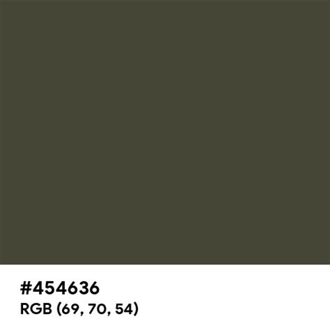 Dark Olive Green (RAL Design) color hex code is #454636