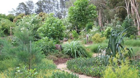 Gold Coast Regional Botanic Gardens: Backyard Tourist | Gold Coast Bulletin