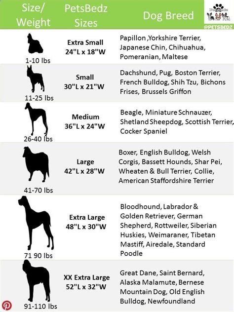 Dog bed, Dog bed sizes, Dog size chart