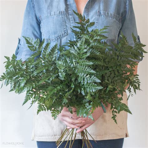 Leatherleaf Fern Greenery | DIY Wedding Flowers | Flower Moxie