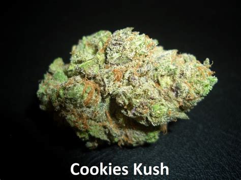 Cookies Kush | Marijuana Strain Reviews | AllBud