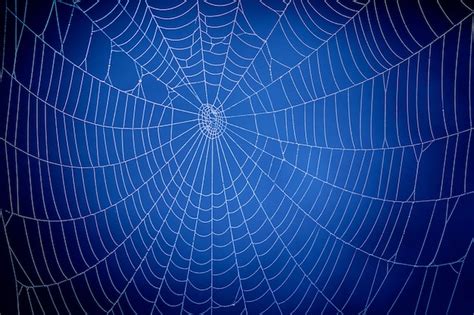 Premium Photo | Blue spider web. global communication concept.