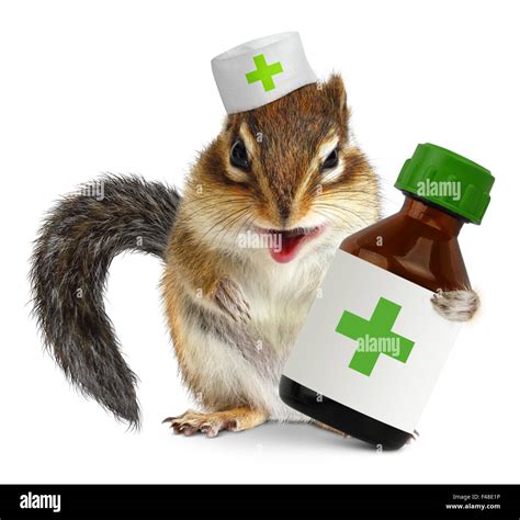 Vet concept, funny squirrel doc hold bottle medications Stock Photo - Alamy