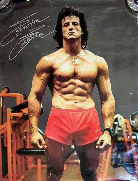 Pin on Sylvester Stallone | Sylvester stallone, Sylvester, Bodybuilding