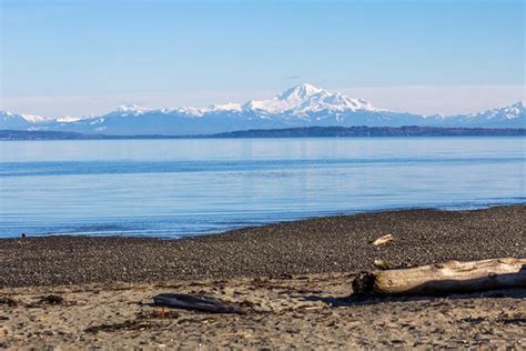 Boundary Bay mud is "just like quicksand", warns Delta mayor - Vancouver Is Awesome