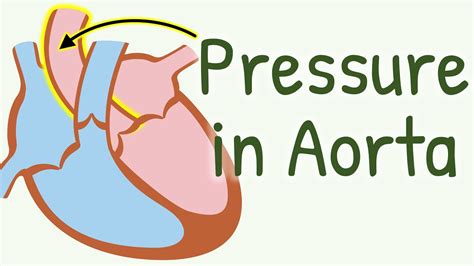 IMPRESS YOUR EXAMINER by Explaining Dicrotic Notch (Incisura) | Aortic ...