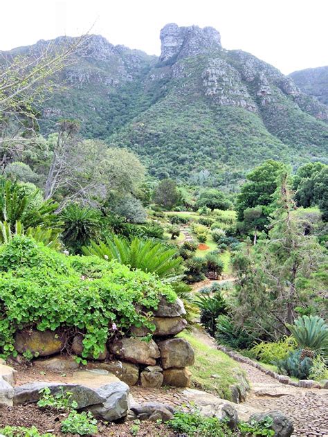 Kirstenbosch Gardens, Cape Town - Top Gardens