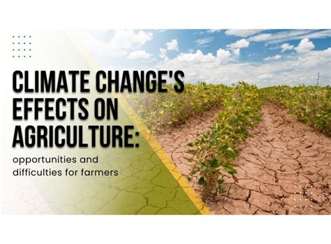 Climate change's effects on agriculture: opportunities and difficulties ...