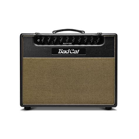 Bad Cat Black Cat 20W Guitar Combo Amp - Incognito Guitars