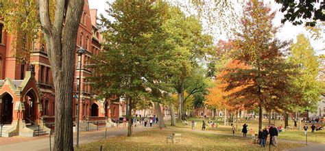 Harvard Yard in Autumn Photograph by Ellen Ryan - Fine Art America