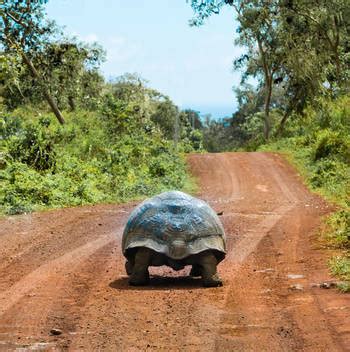 Top 6 Island Hopping Galapagos tours - Bespoke Galapagos