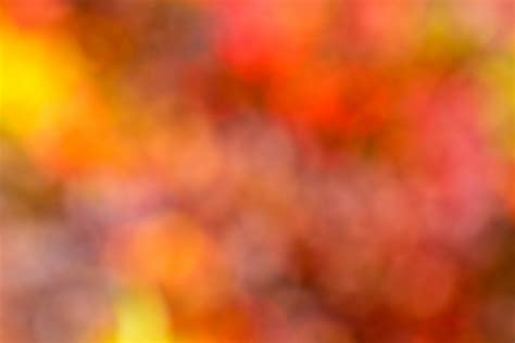 Autumn Colors Background Free Stock Photo - Public Domain Pictures