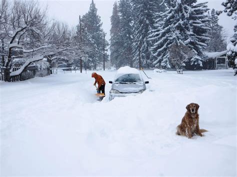 Does It Snow In Oregon? All About Oregon Climate