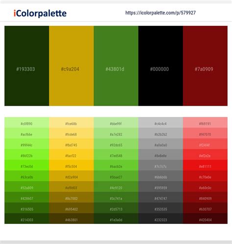 6480+ Latest Color Schemes with Dark Green Color tone combinations | 2024 | iColorpalette