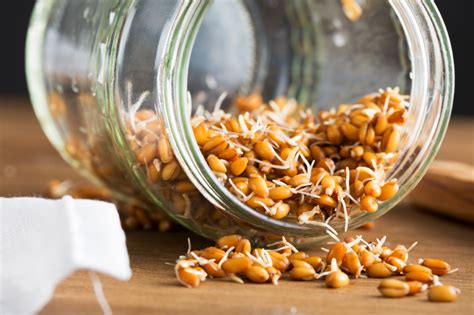 The Scoop on Sprouted Grains - Ellie Krieger