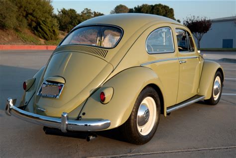 Restored 1964 Volkswagen Beetle for sale on BaT Auctions - sold for ...