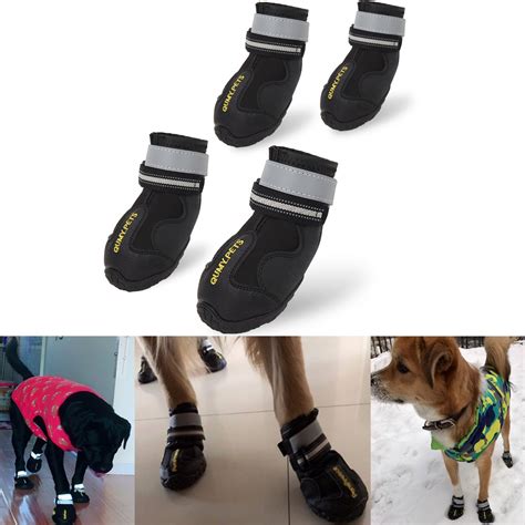 The Best Dog Snow Boots for Protecting Dog Paws in 2019