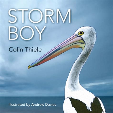 Storm Boy (Hardcover) - Walmart.com - Walmart.com