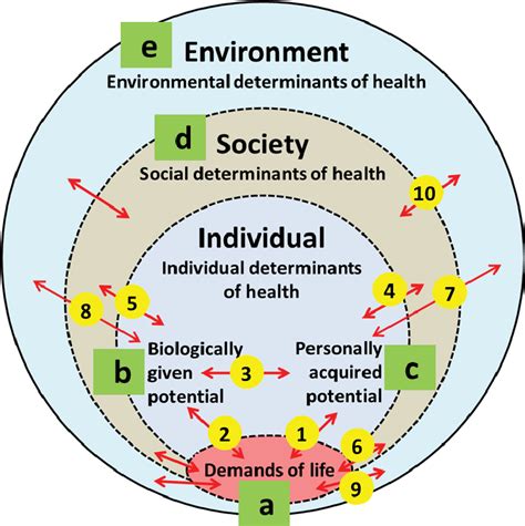 Figure 1 from Applying a complex adaptive system's understanding of ...