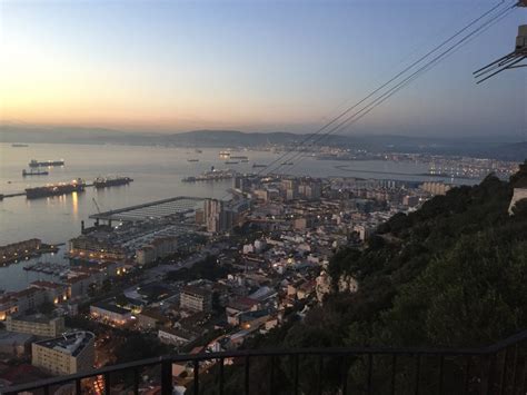 Getting The Most Out Of Visiting The Gibraltar Rock Monkeys | Look at ...